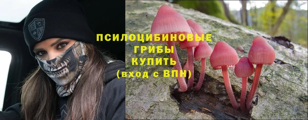 ECSTASY Нефтекумск