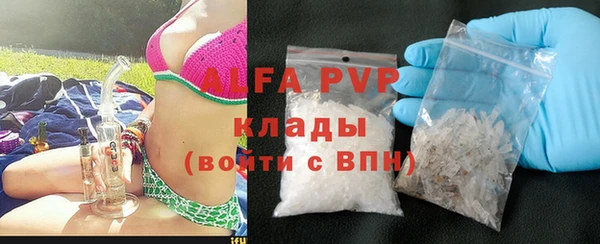 сатива Надым