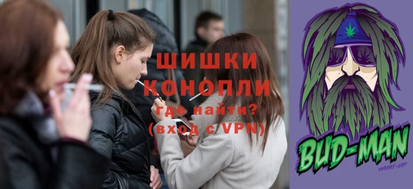 сатива Надым