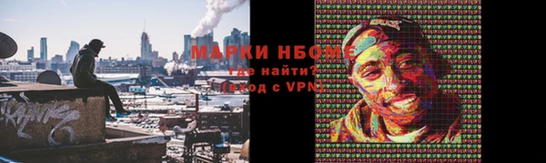 сатива Надым