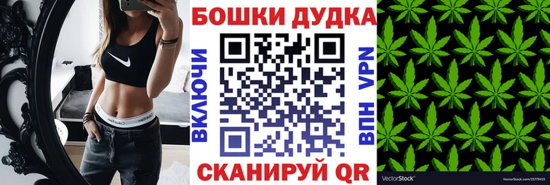 Канабис конопля  Межгорье 